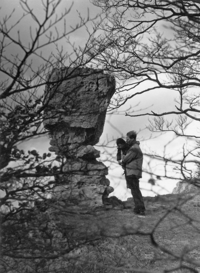 Der Kelchstein am Ith